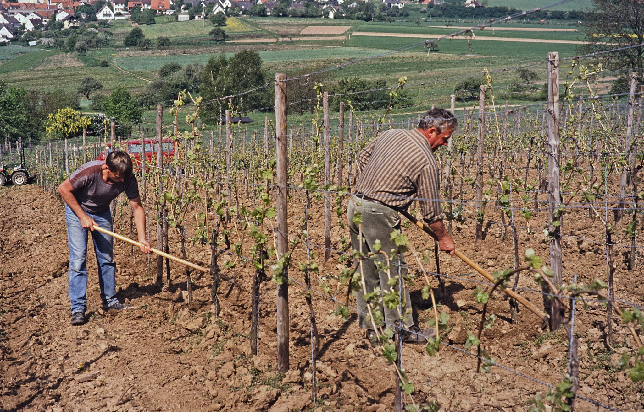 Foto 6 von Weingut Klaus Gündling
