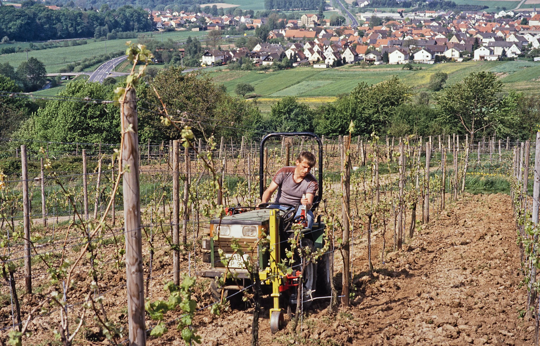 Foto 7 von Weingut Klaus Gündling