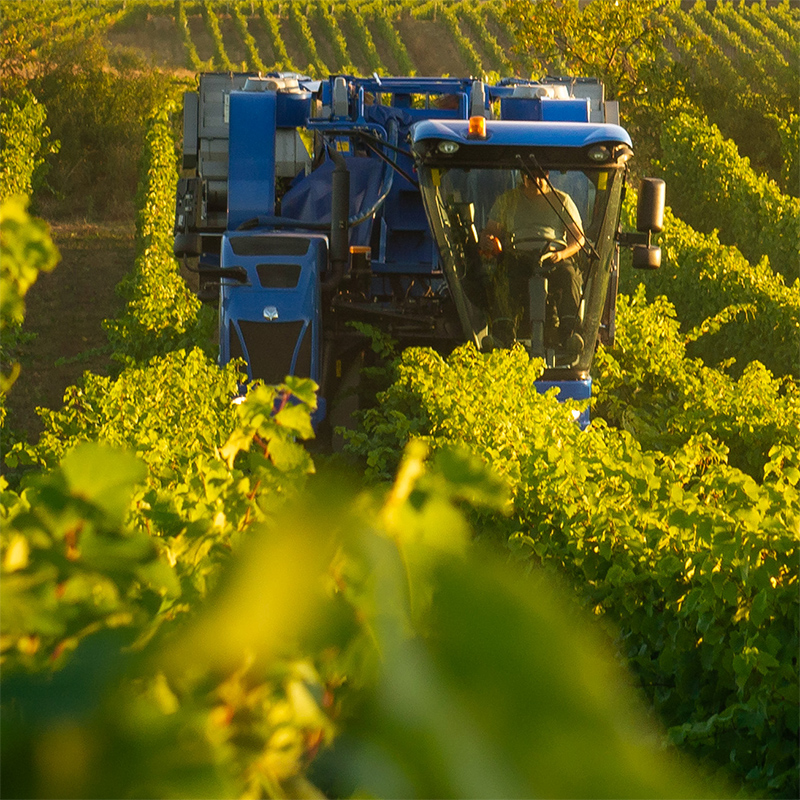 Foto 2 von Weingut Klaus-Peter Keßler