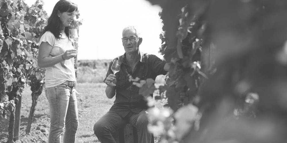 Foto 6 von Weingut Klaus und Judith Wendel