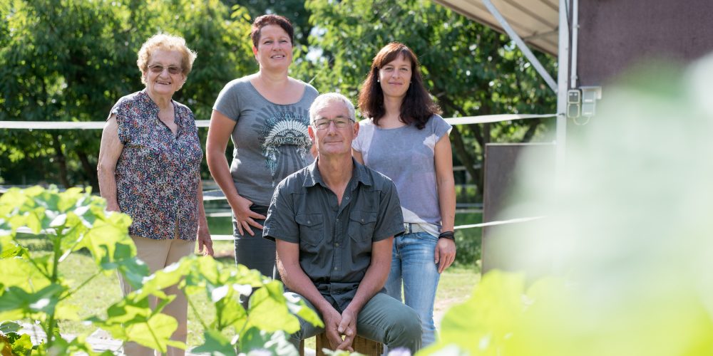 Foto 3 von Weingut Klaus und Judith Wendel
