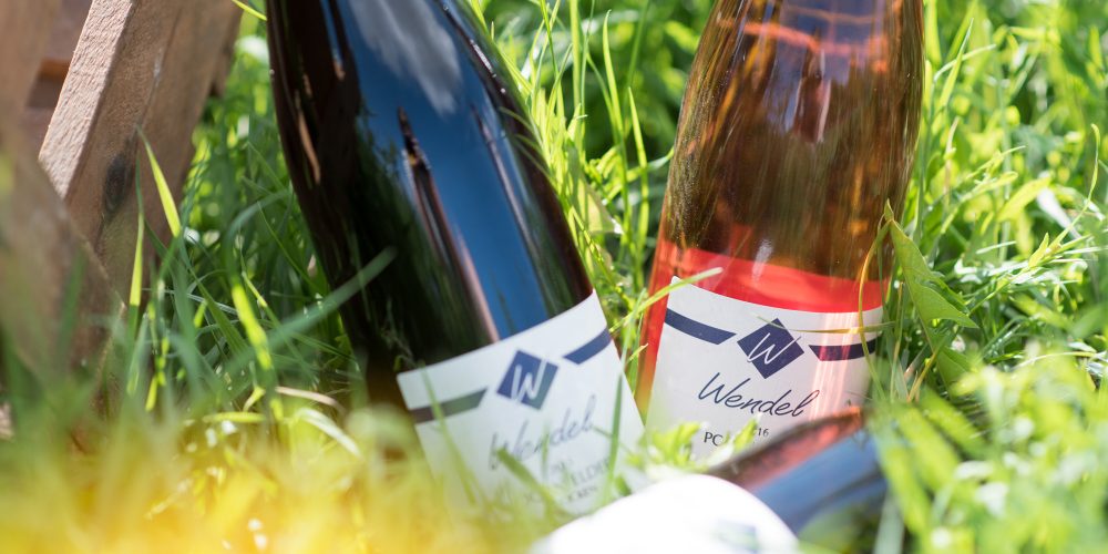 Foto 7 von Weingut Klaus und Judith Wendel