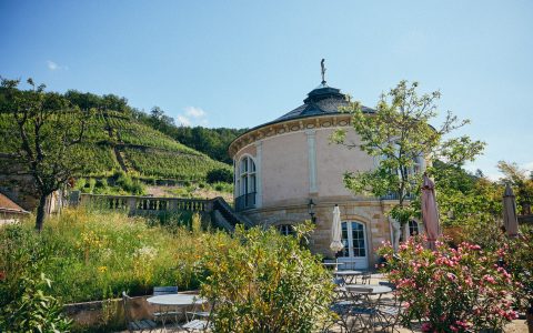 Foto 2 von Weingut Klaus Zimmerling
