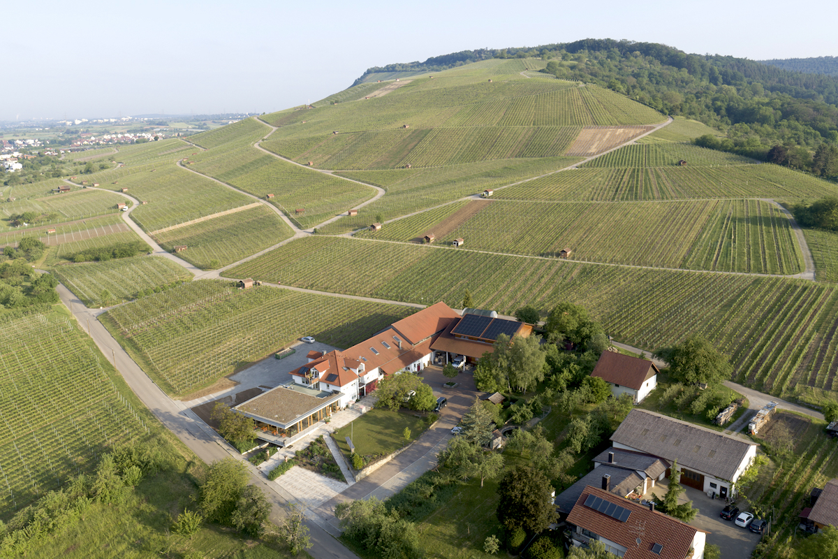 Weingut Klopfer