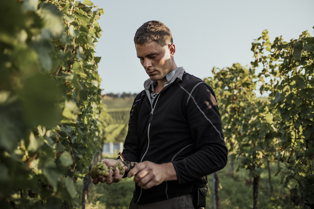 Foto 3 von Weingut Klopfer