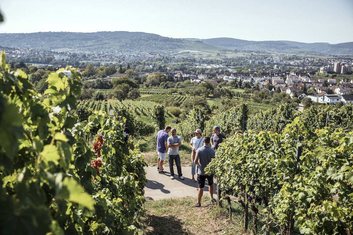 Foto 1 von Weingut Klopfer
