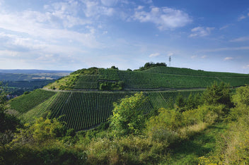 Foto 2 von Weingut Klostermühle Odernheim