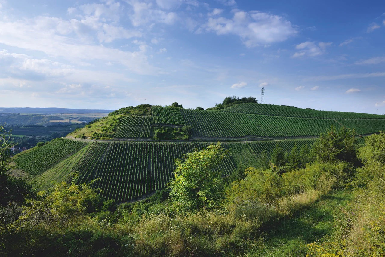 Foto 1 von Weingut Klostermühle Odernheim