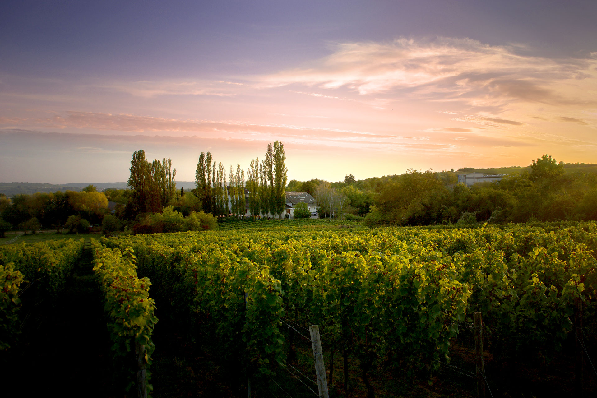 Weingut Klostermühle