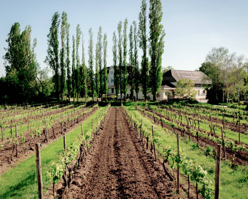 Photo 1 of Weingut Klostermühle