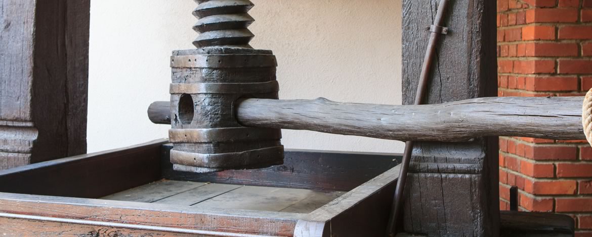 Foto 2 von Weingut Kost