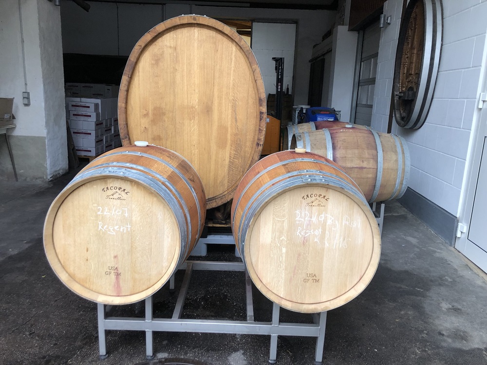 Foto 6 von Weingut Kreiselmaier - Familie Saalfrank