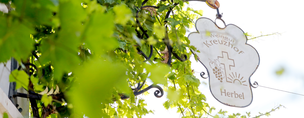 Foto 2 von Weingut Kreuzhof