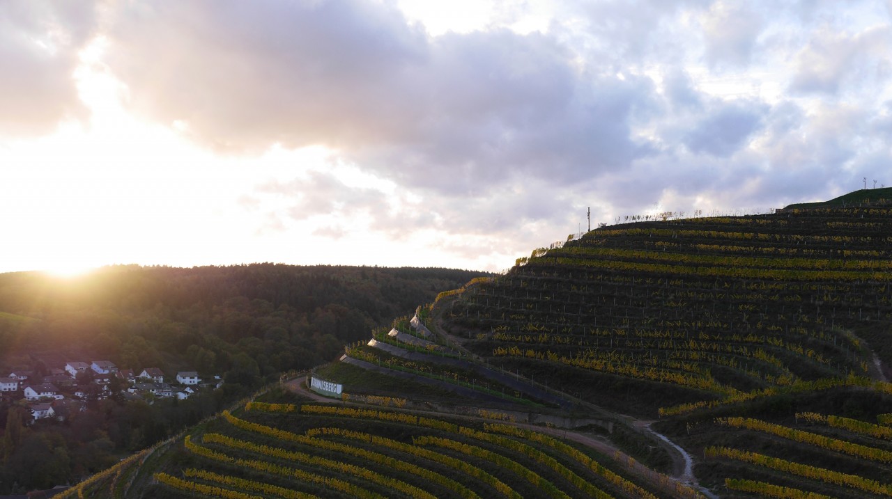 Weingut Kronenbergerhof