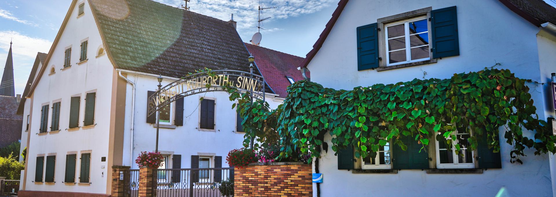 Foto 4 von Weingut Kühborth & Sinn