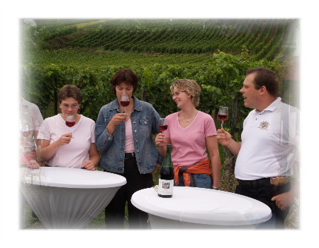 Foto 1 von Weingut Kurt Schädel