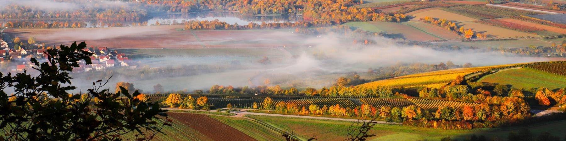 Weingut Laicher