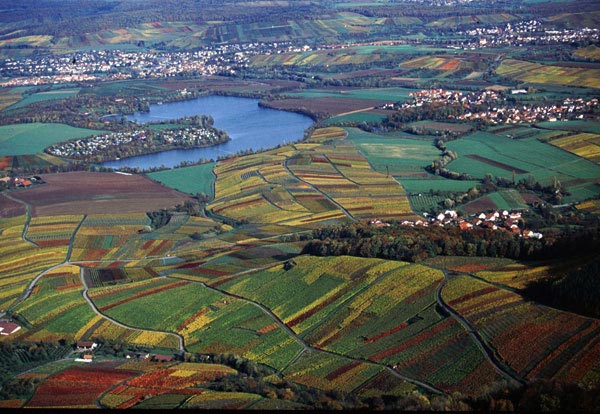 Foto 6 von Weingut Laicher