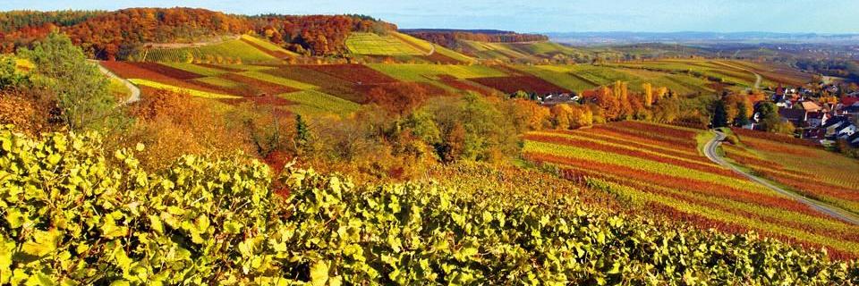 Weingut Landesvatter