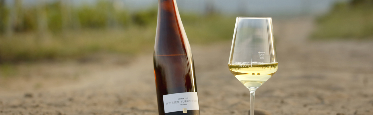 Фото 6 з Weingut Langenwalter