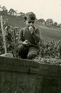 Foto 7 von Weingut Lex-Ambré
