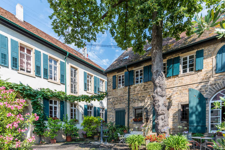 Foto 3 von Weingut Lindenhof - Eugen Spindler