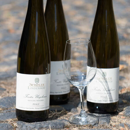 Foto 6 von Weingut Lindenhof - Eugen Spindler