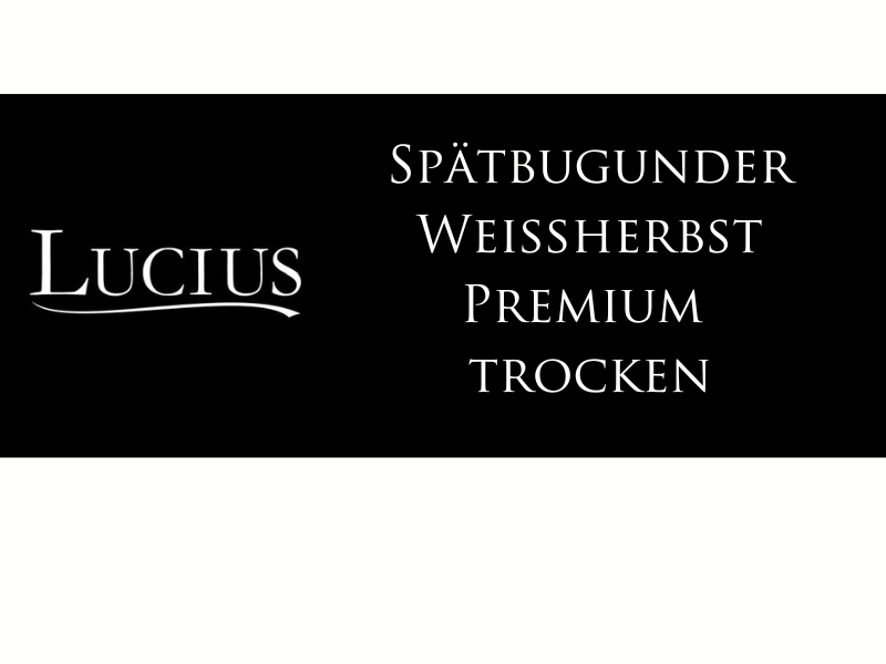 Foto 4 von Weingut Lucius
