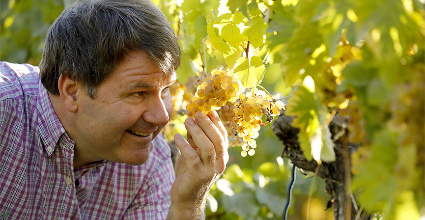 Foto 7 von Weingut Ludwig Mesel