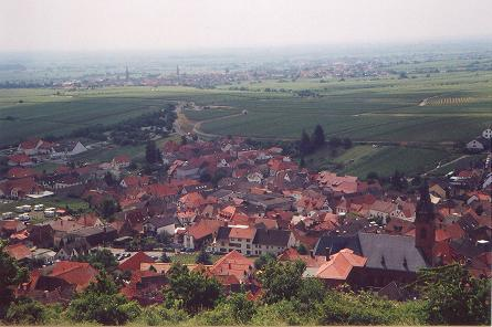 Foto 6 von Weingut Ludwig Schwaab