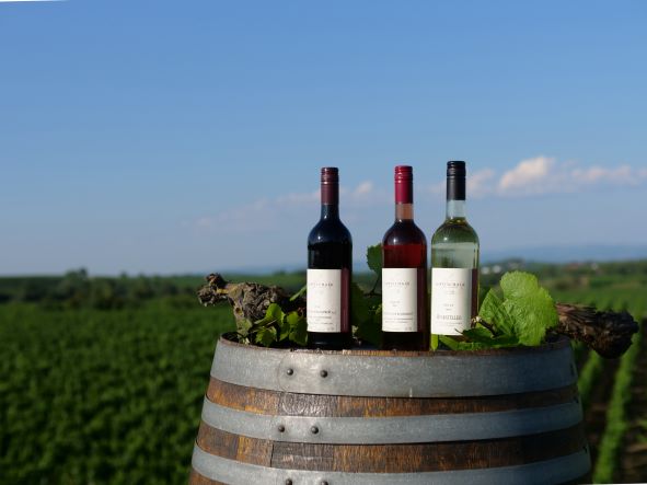 Foto 1 von Weingut Maria und Gerhard Gottschalk