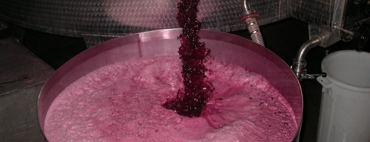 Foto 2 von Martin Albrecht Weingut