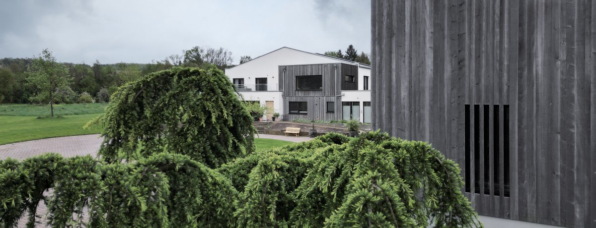 Foto 1 von Martin Albrecht Weingut