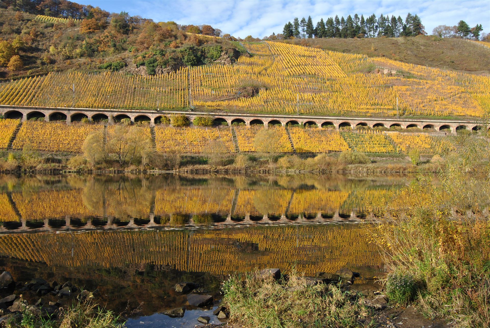 Foto 7 von Weingut Markus Busch