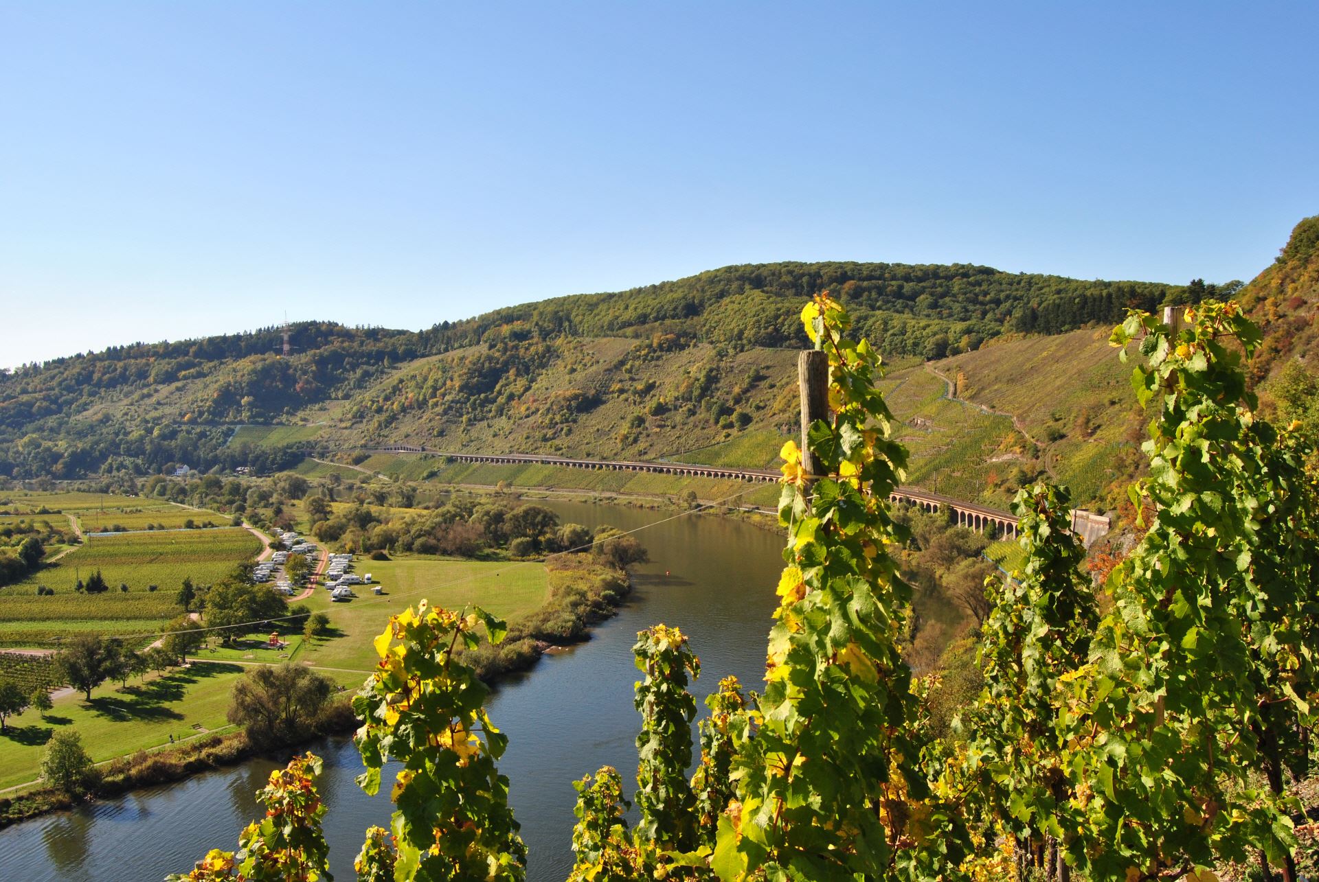 Foto 5 von Weingut Markus Busch