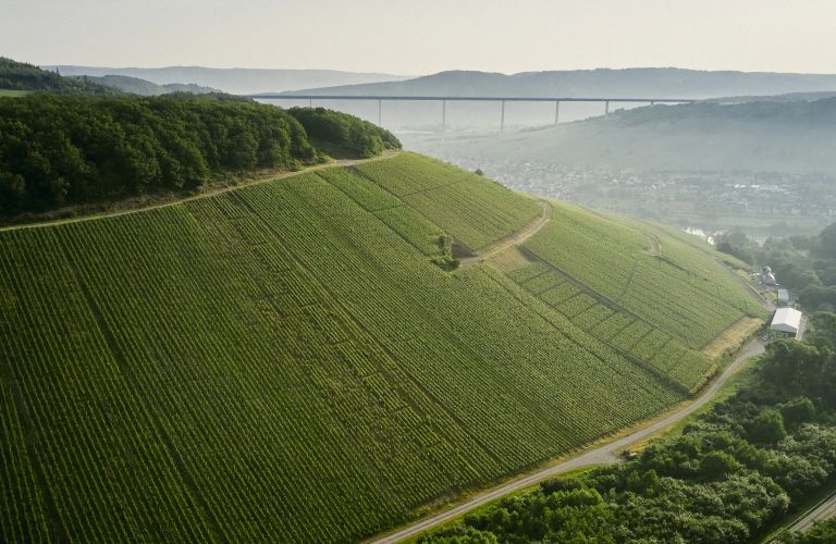 Weingut Markus Molitor