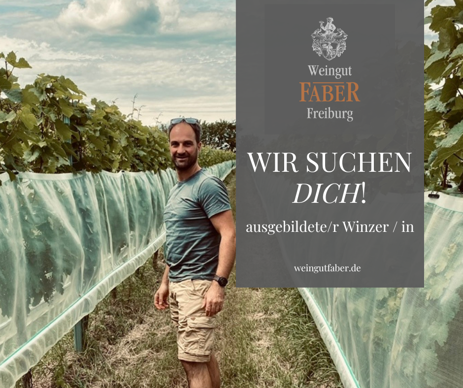 Weingut Martin Faber