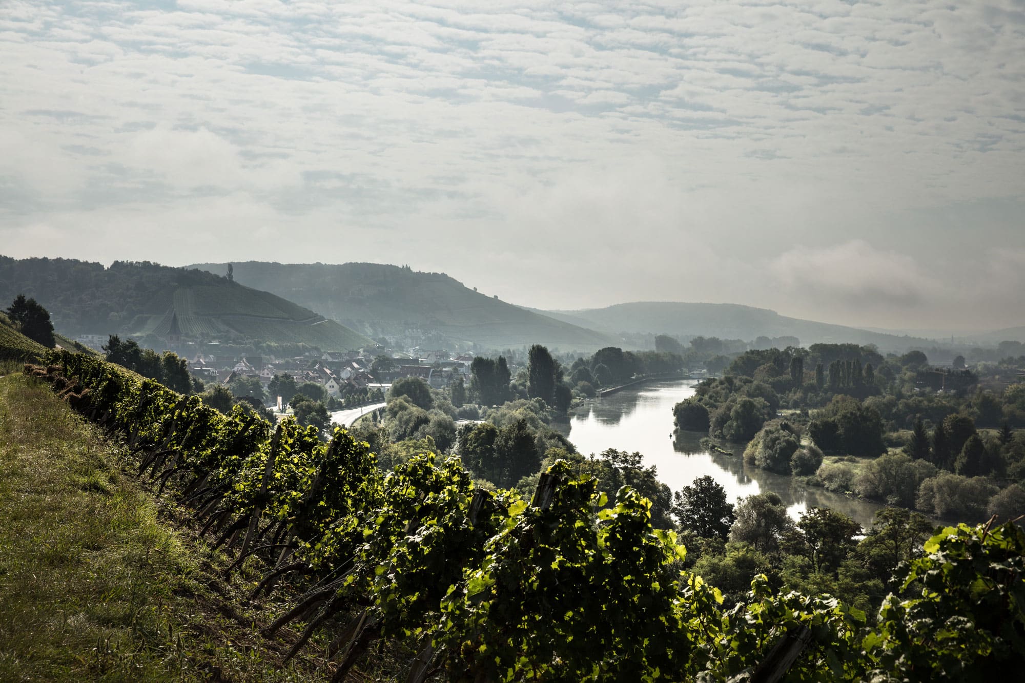 Weingut Martin Göbel