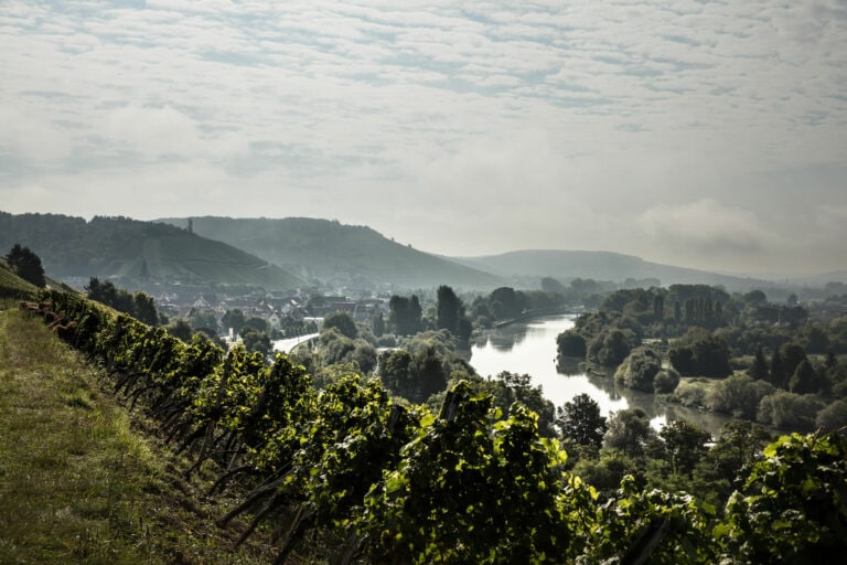 Foto 2 von Weingut Martin Göbel