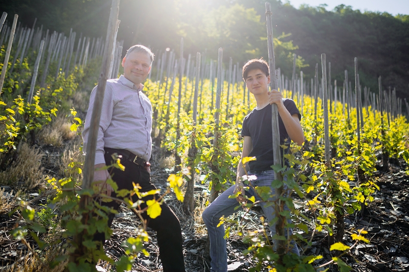 Фото 2 з Weingut Martin Müllen