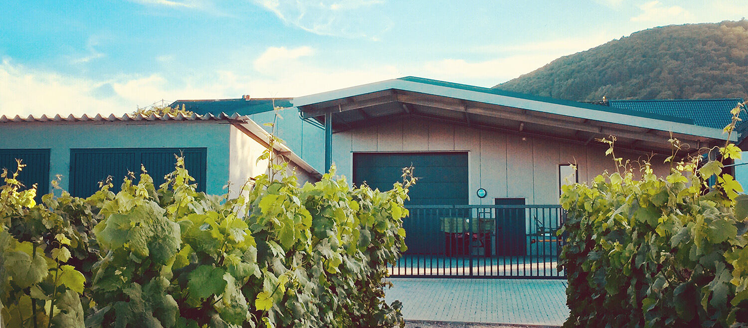 Weingut Mathy-Schanz
