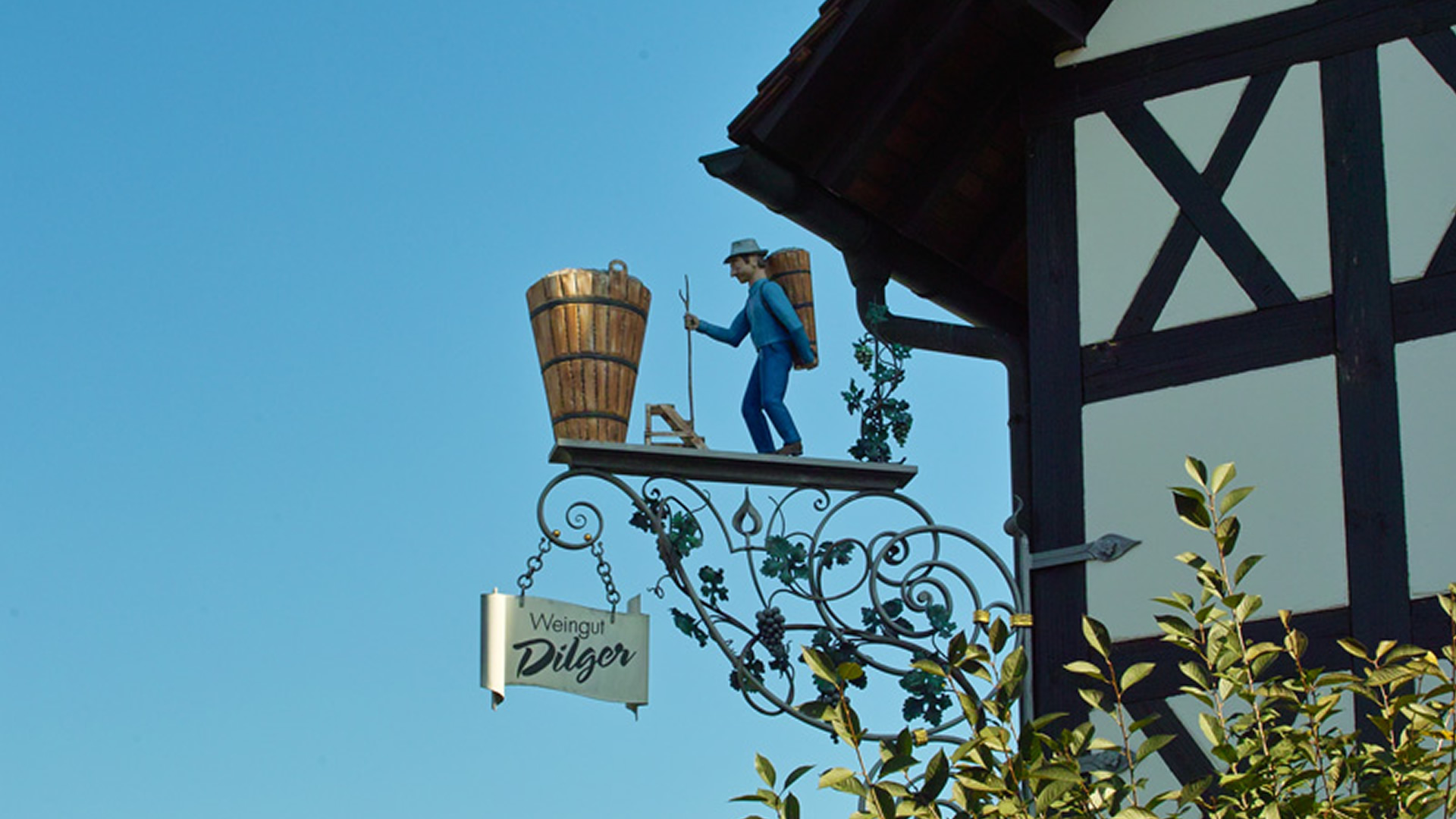 Foto 5 von Weingut Matthias Dilger