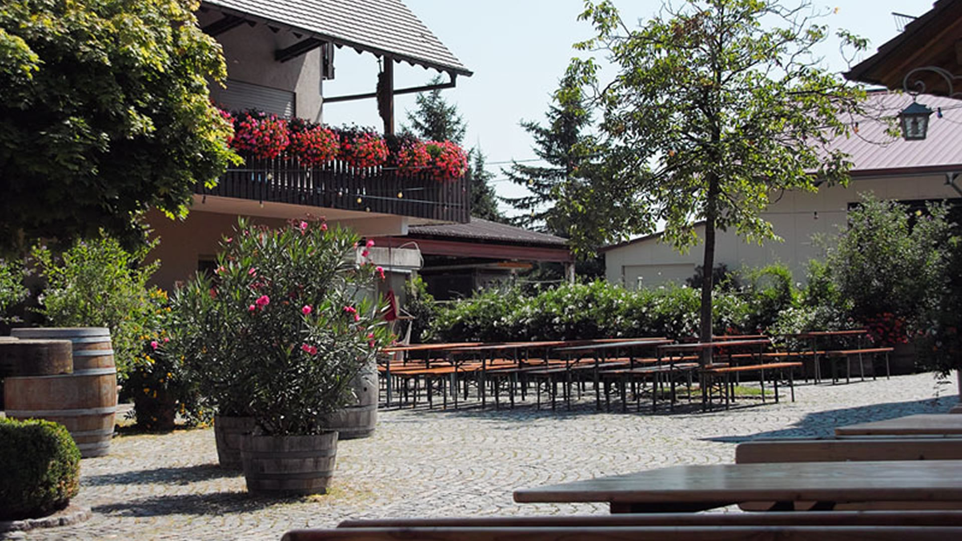 Foto 6 von Weingut Matthias Dilger