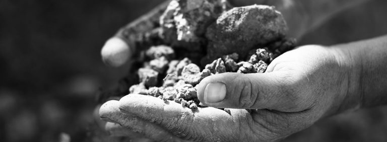 Foto 4 von Weingut Matthias Dostert