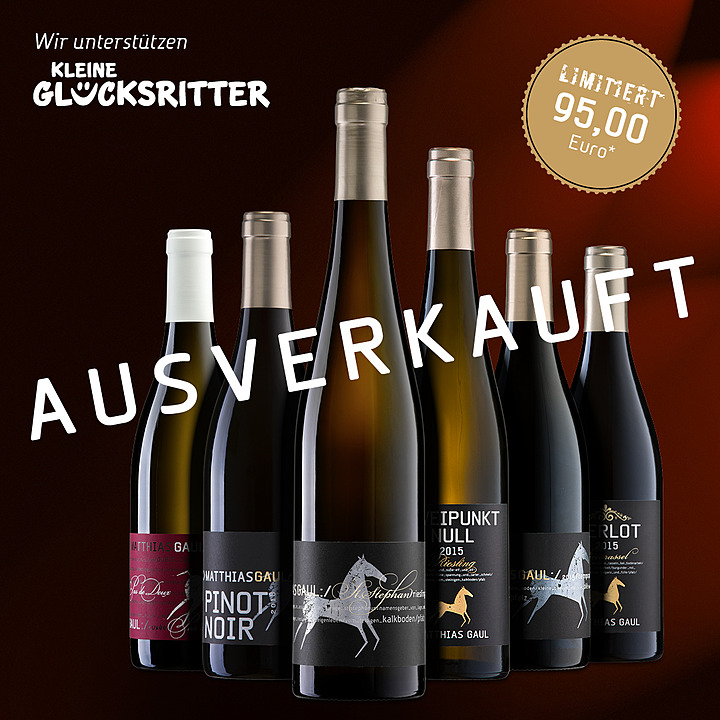 Фото 4 из Weingut Matthias Gaul