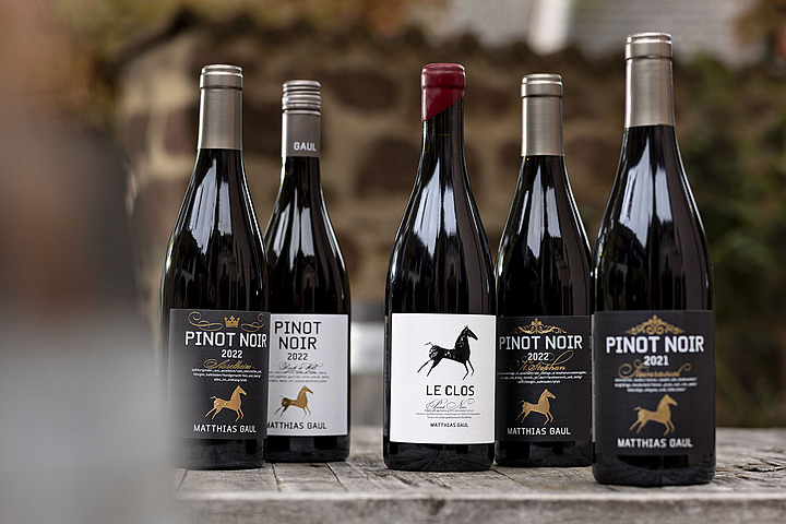 Фото 6 из Weingut Matthias Gaul