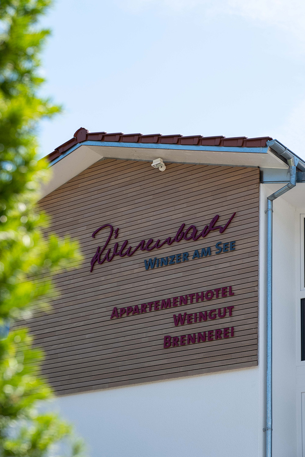 Foto 4 von Weingut Matthias Röhrenbach