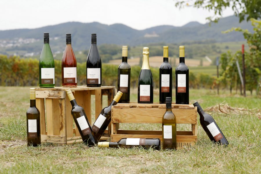 Foto 6 von Weingut Matthias Vogler