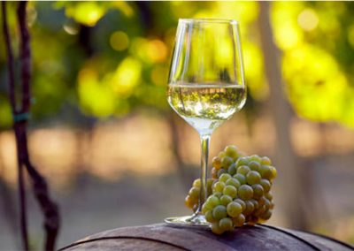 Фото 6 з Weingut Maurer