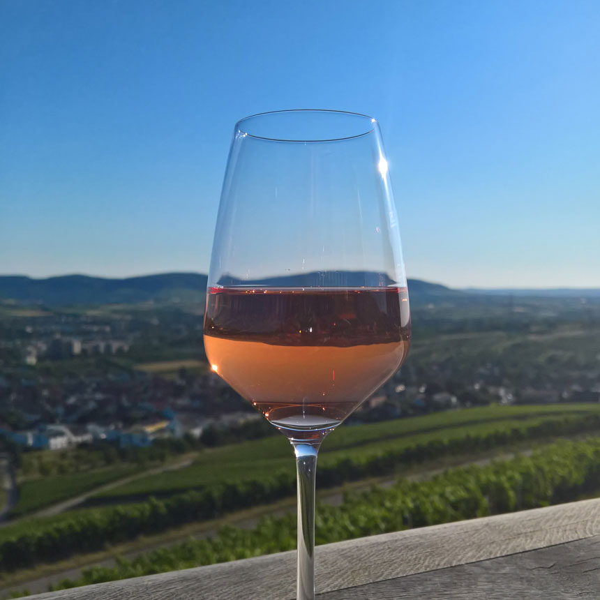 Weingut Mayer